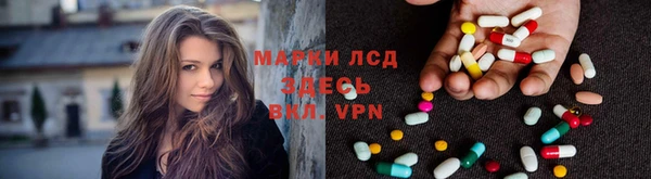 PSILOCYBIN Горнозаводск