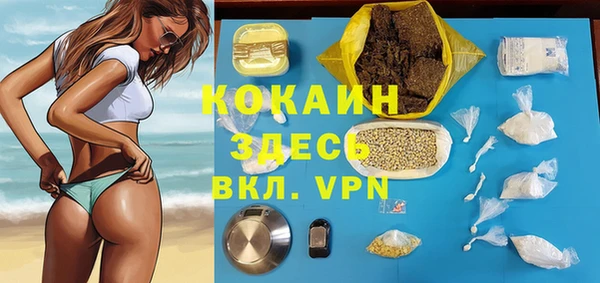 PSILOCYBIN Горнозаводск