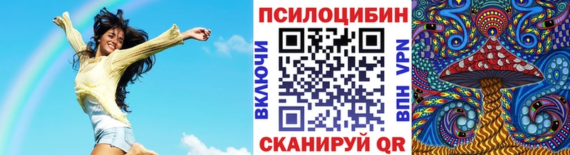 Псилоцибиновые грибы Psilocybe  закладка  Нижний Новгород 